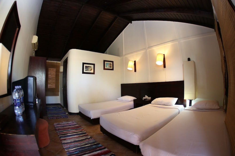Economy Triple Room – Abu Dabbab Lodge, Marsa Alam